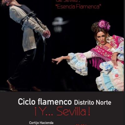 Cartel 'Y Flamenco'