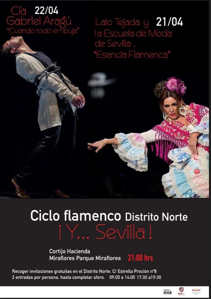 Cartel 'Y Flamenco'